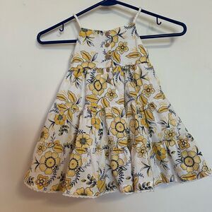 Haute Hippie Dress